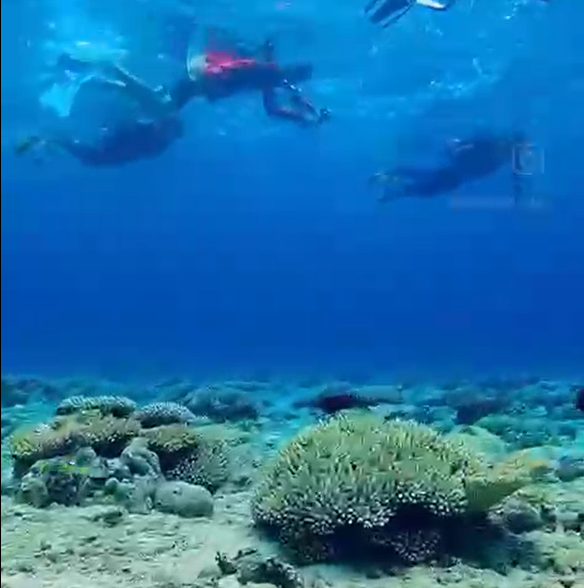 PNG - 528.5 kio